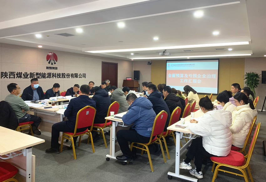 靶向發(fā)力 精準(zhǔn)治虧 新型能源公司打好虧損治理“組合拳”.jpg